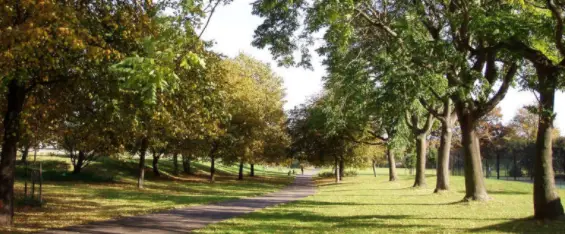 clean park clean park