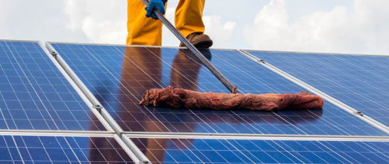 cleaning solar panel surface cleaning solar panel surface